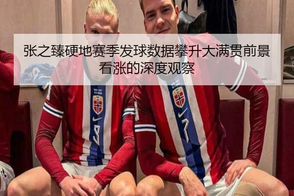 张之臻硬地赛季发球数据攀升大满贯前景看涨的深度观察